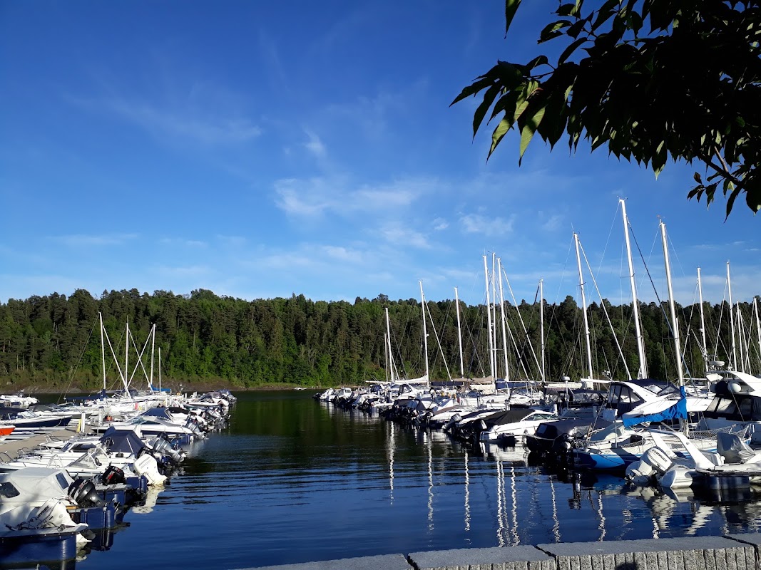 Trårnbrygga
