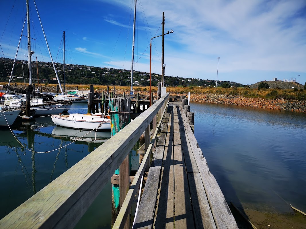 Dunedin Yacht Club Marina