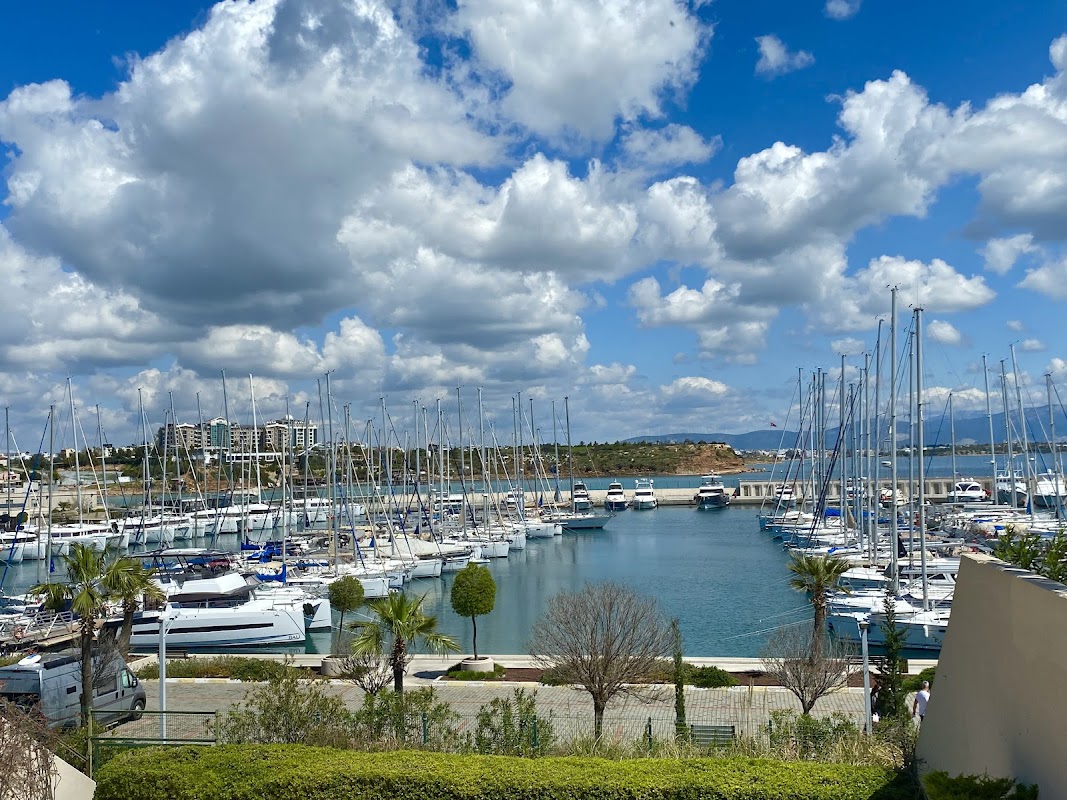 D - Marin Didim