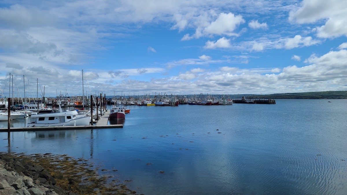 Digby Marina Nova Scotia