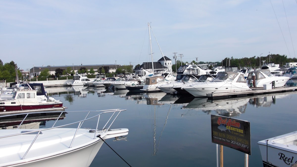 Spring Point Marina