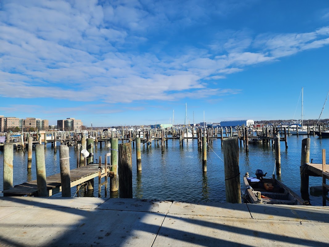 Burr's Marina