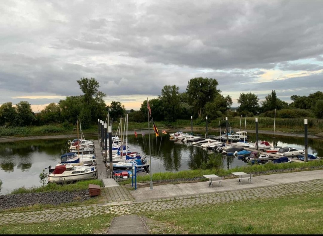 Boots-Club Oberelbe BCO - Seglerhafen Hoopte