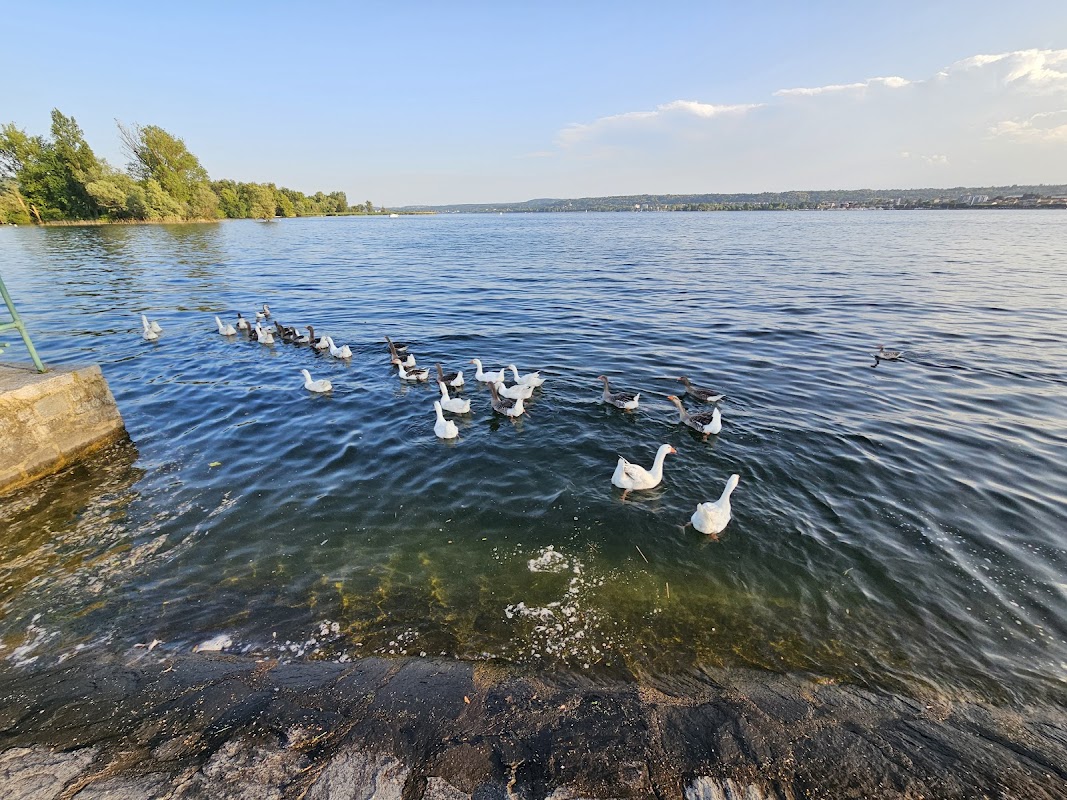Angera - Isola Partegora