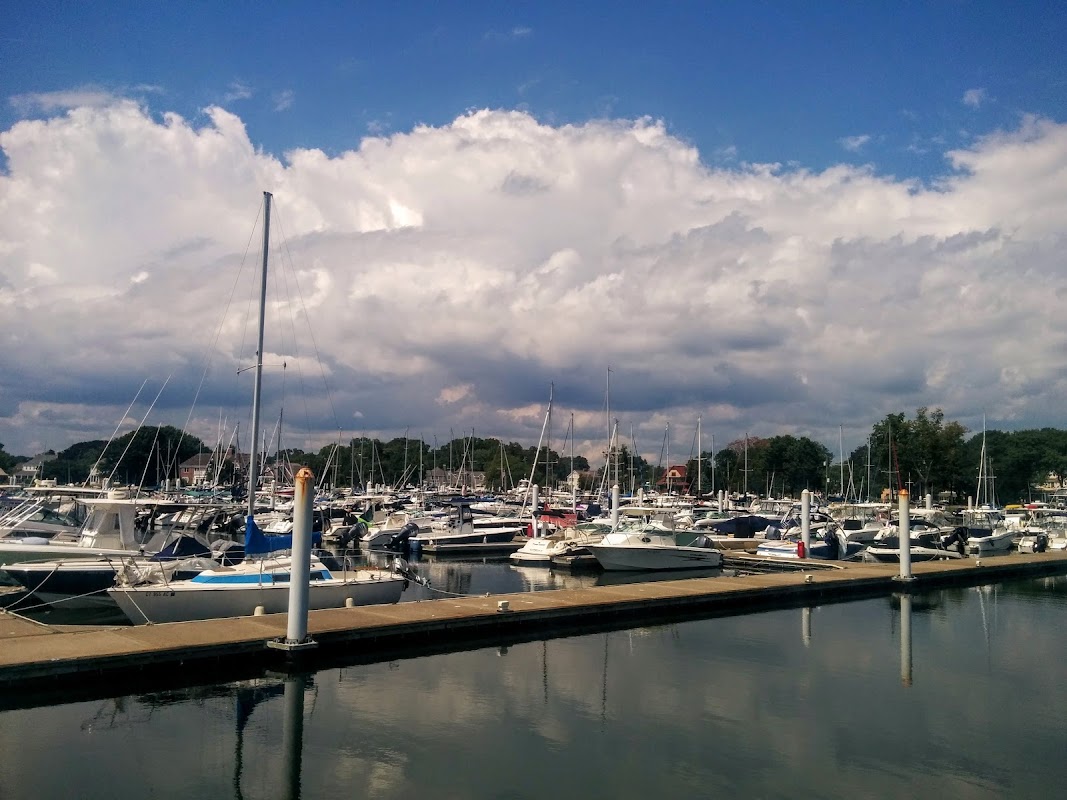Ned Dimes Marina
