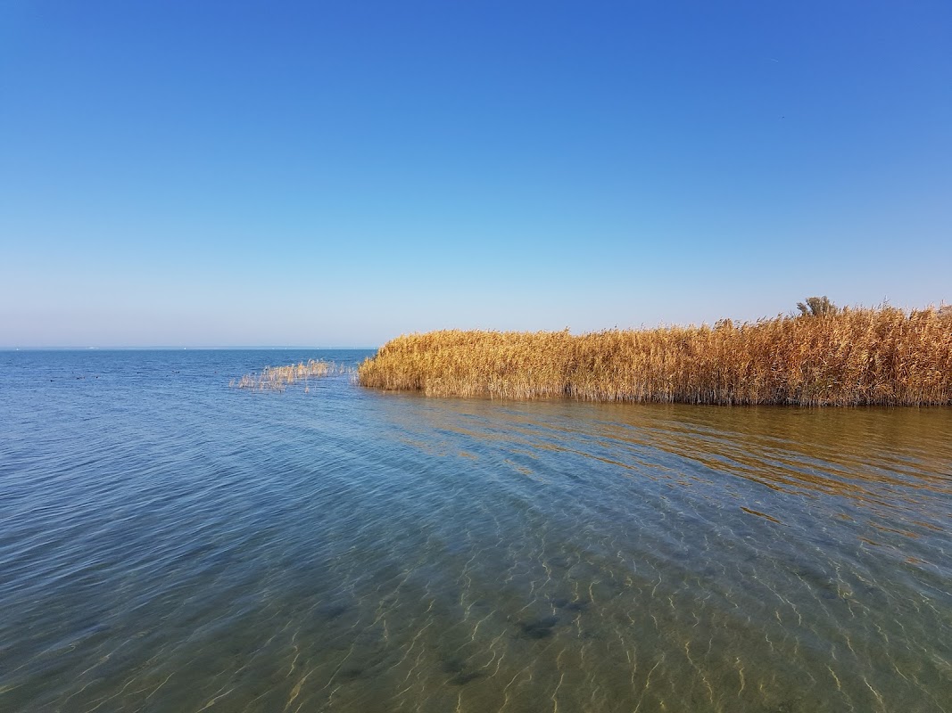 Keszthelyi Vöröskeresztes Vízimentő Egyesület