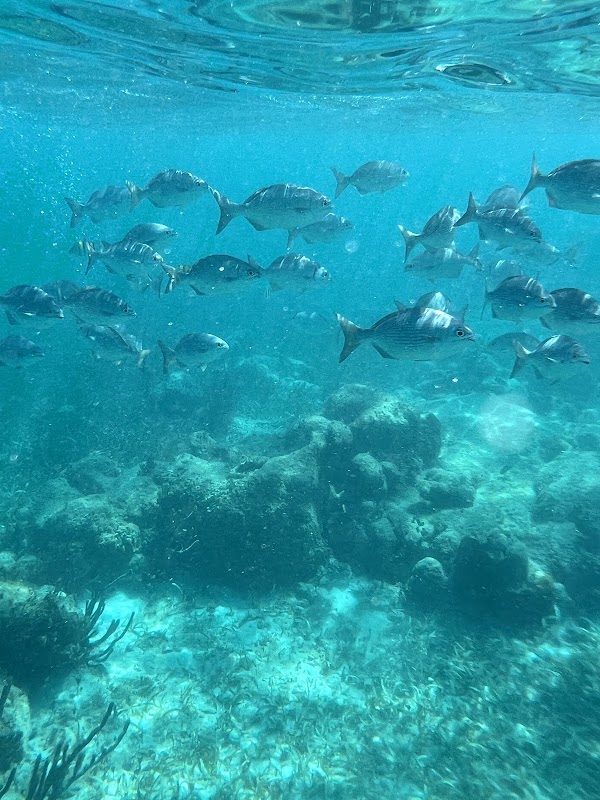 Aqua World Marina