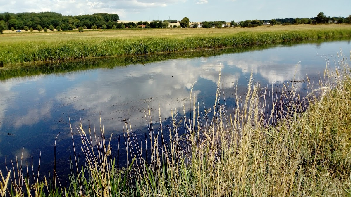 Ulstrup Marina
