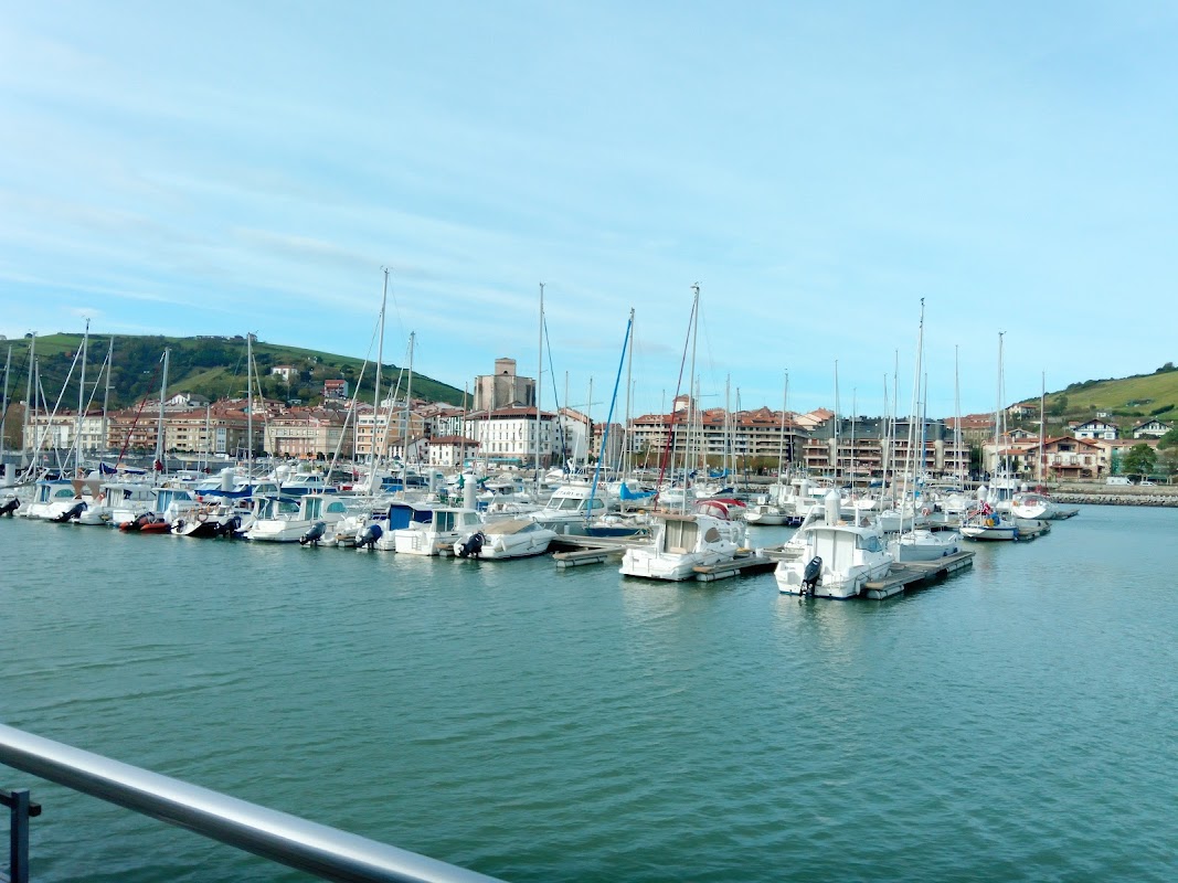Zarauzko portua