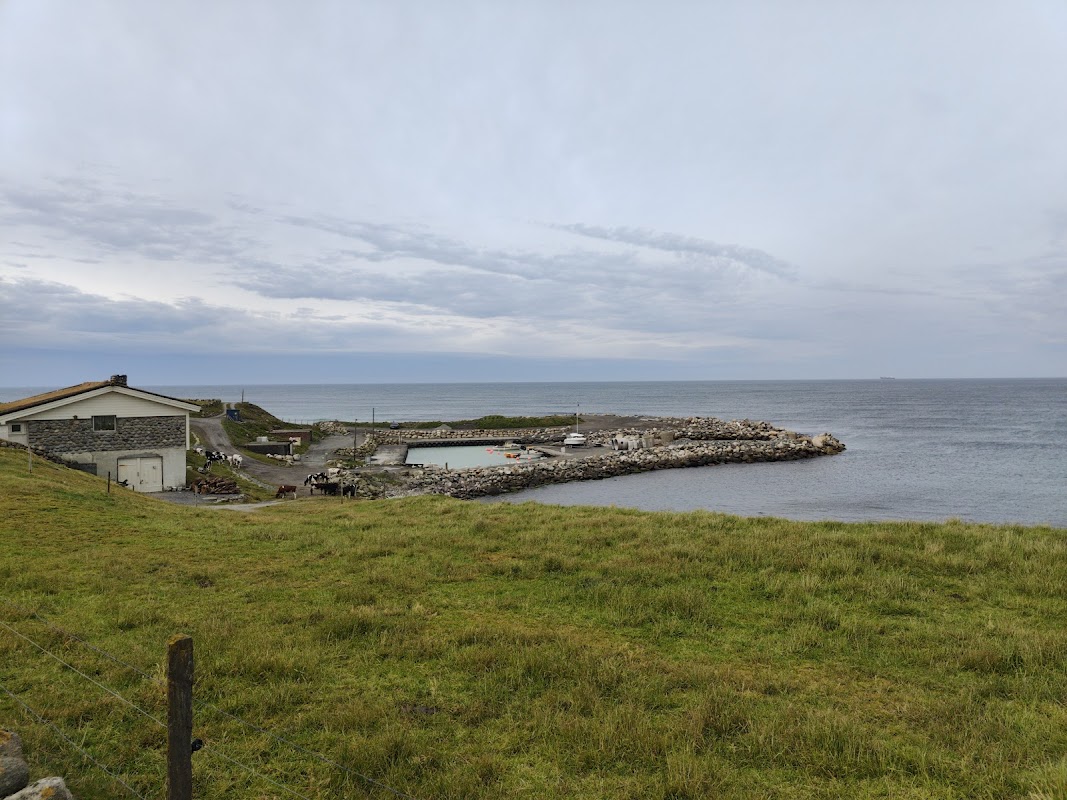 Revehamnen