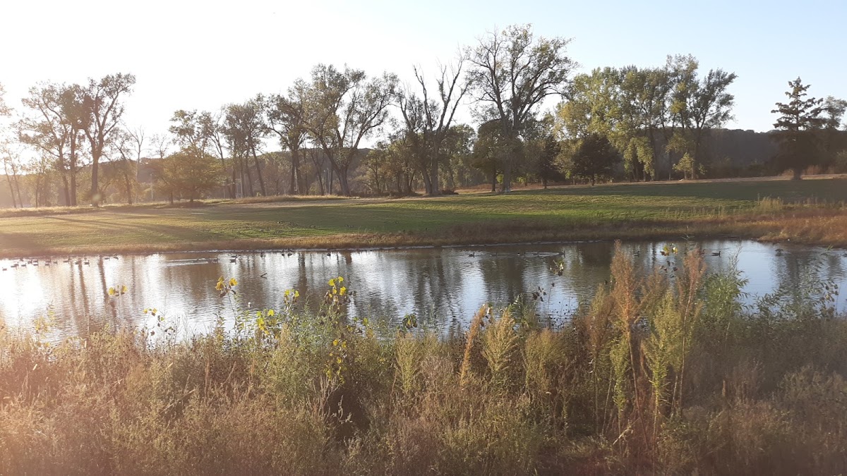 Dodge Park Marina