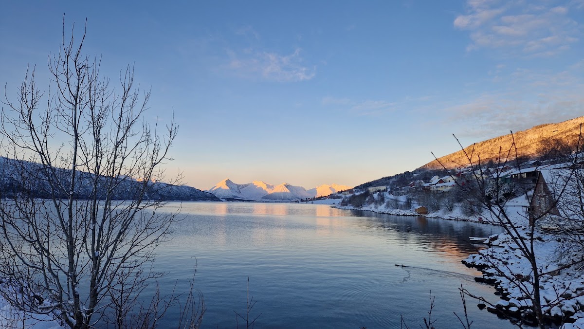 Kvæfjord båtforening