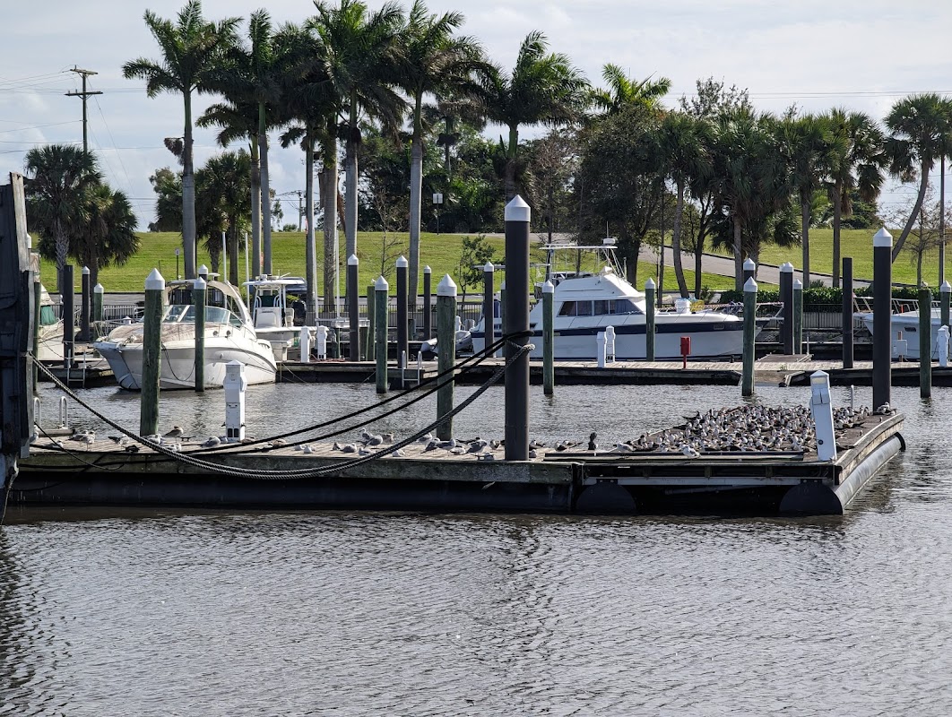 Campground Mooring Site
