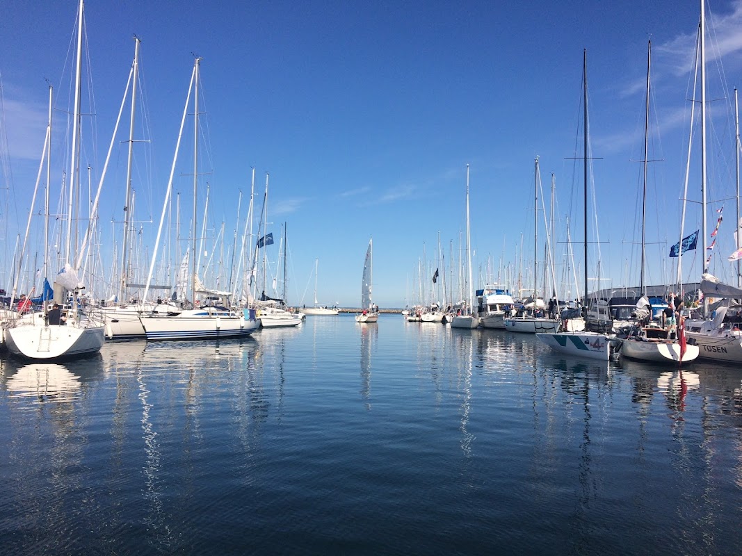 Boganes marina