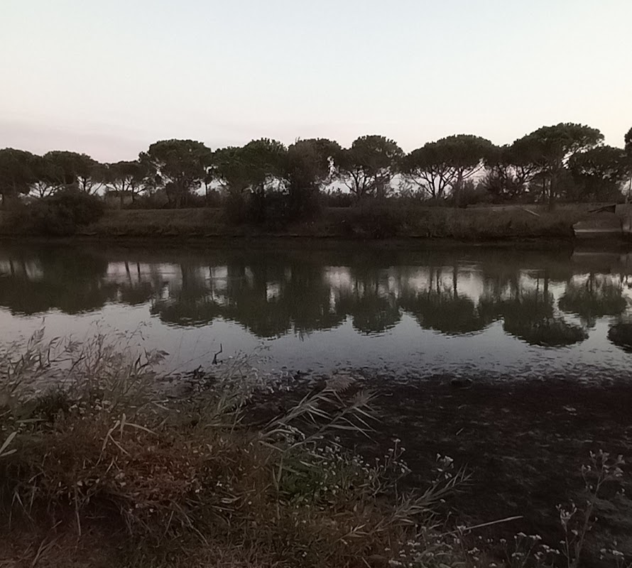 Nautica Brancaleoni
