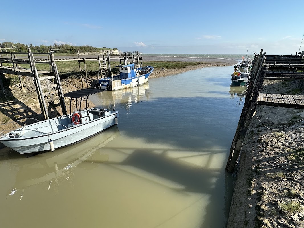 Port de Talmont-sur-Gironde