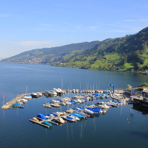 Hafen Aazopf Arth