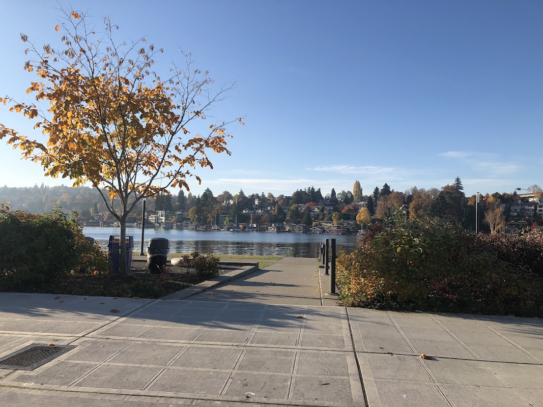 Boat Street Marina