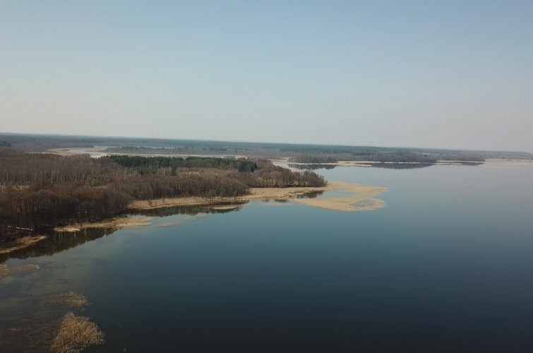 Niedźwiedzi Róg