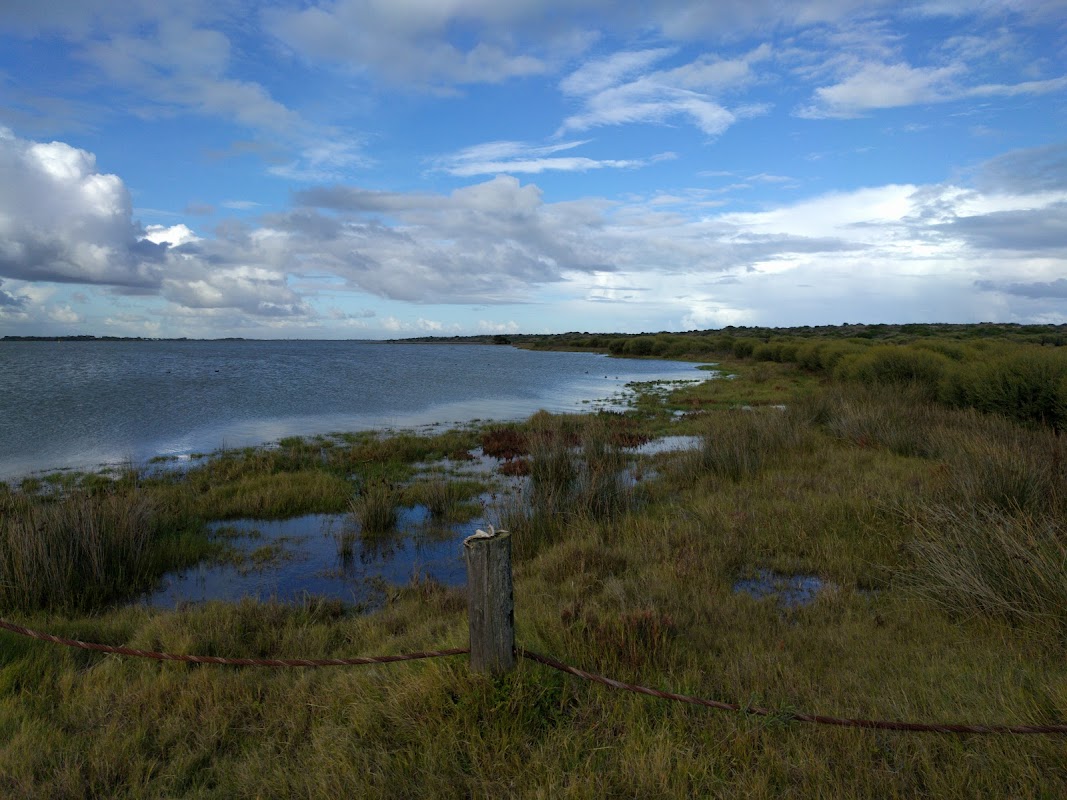 Goolwa Marina