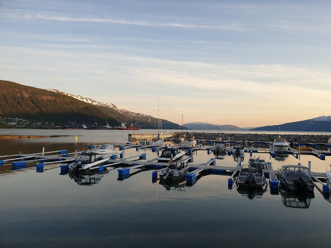 Mølen