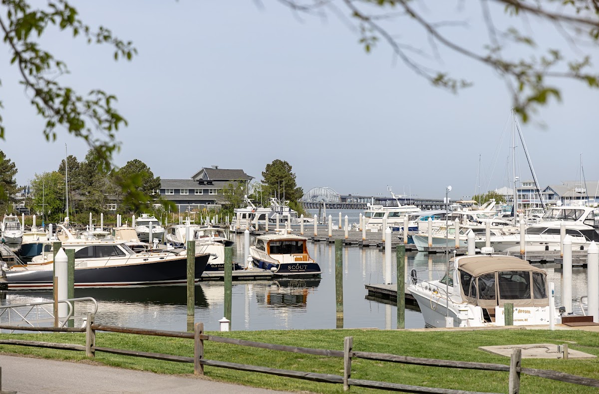 Chesapeake Bay Bridge Marina