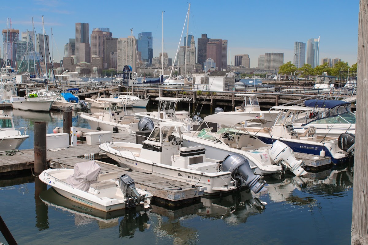 Boston Harbor Marina