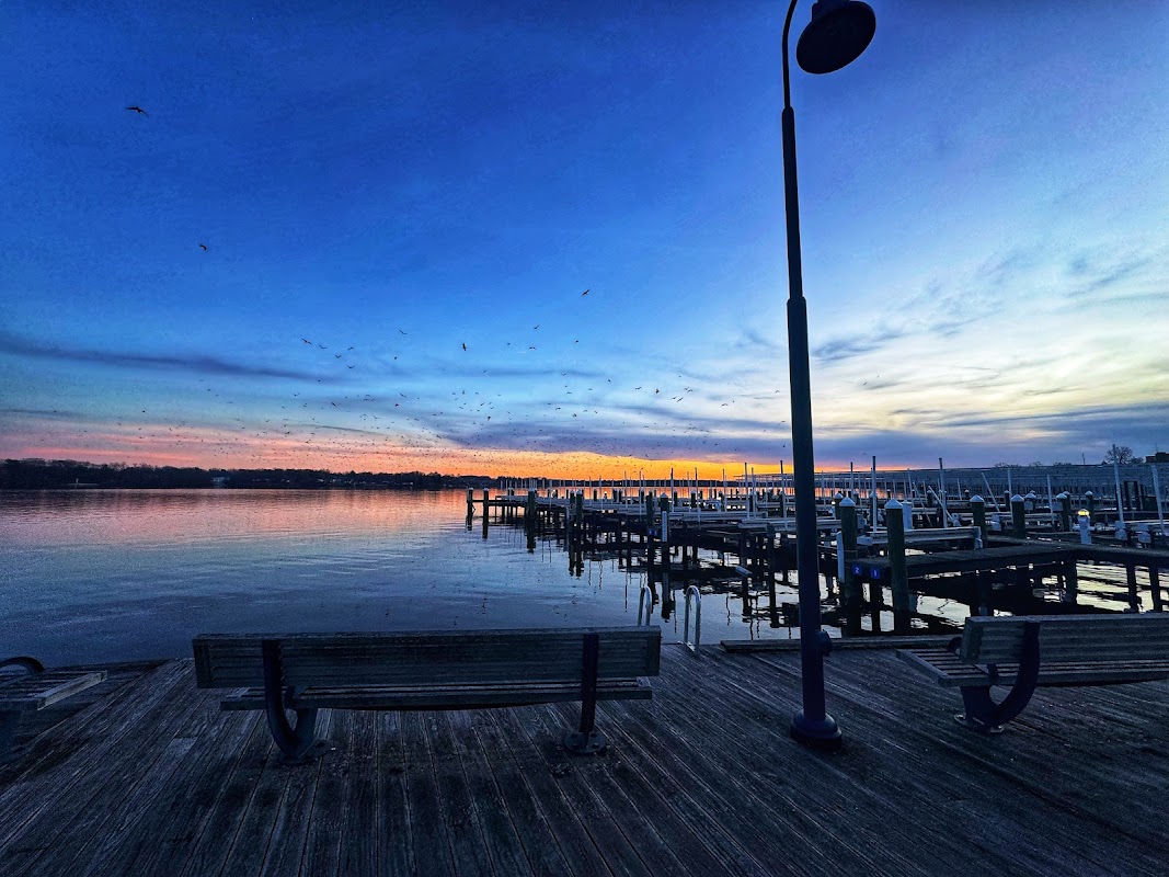 Decatur Marina