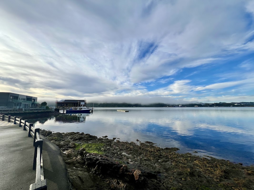 Evans Bay Marina