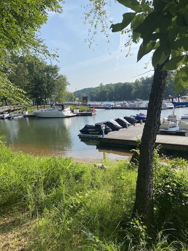 Horsetrail Dock