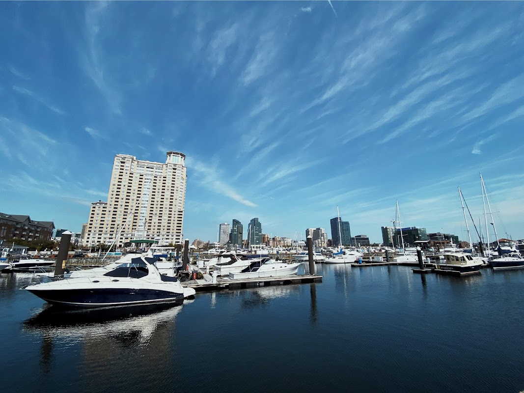 Harborview Marina