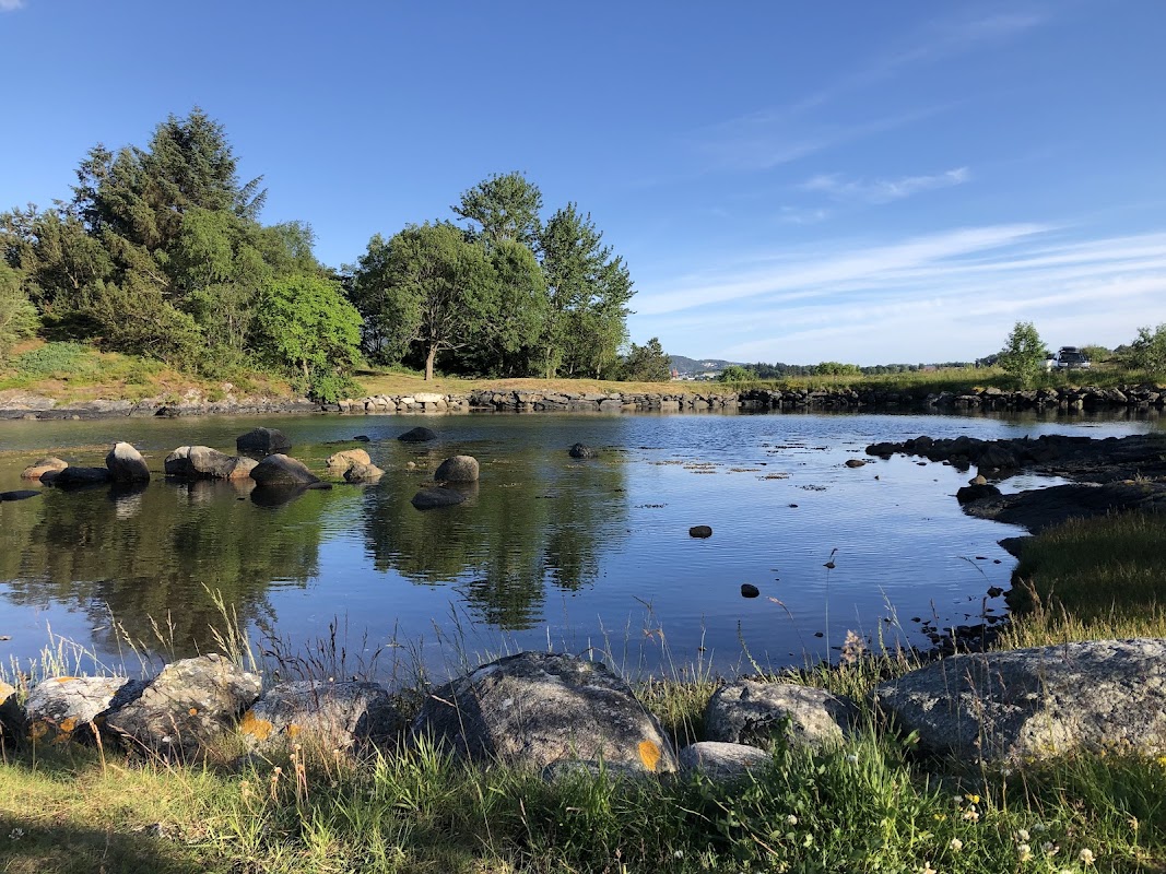 Jåttåvågen småbåthavn