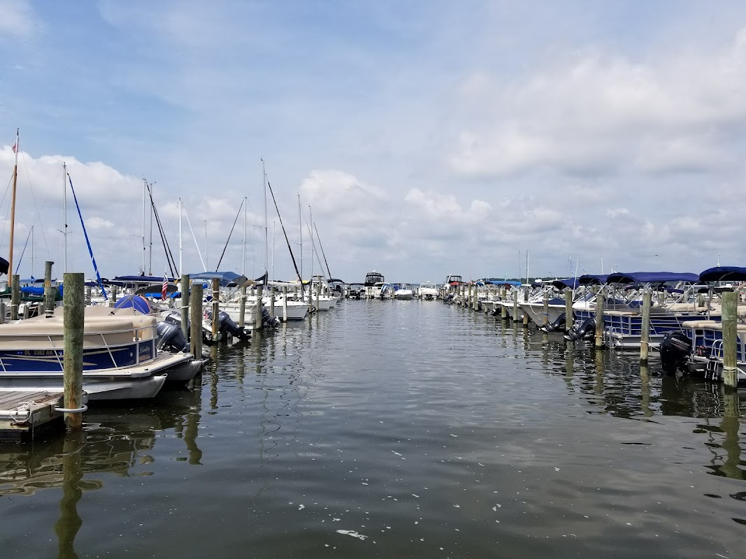 Rehoboth Beach Marina DE