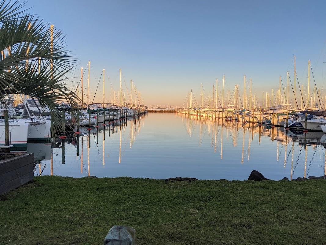 Hobsonville Marina