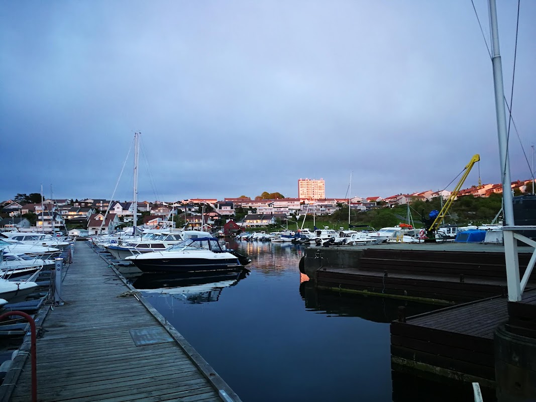 Dusavik