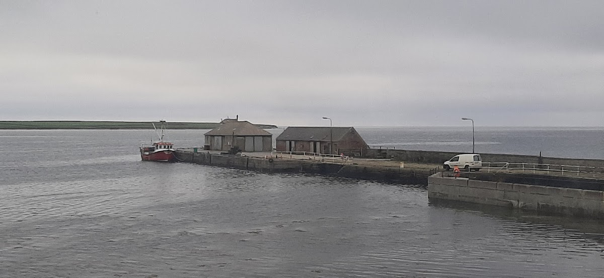 Sandown Marina