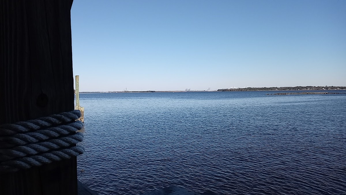 Bill Dye Marina