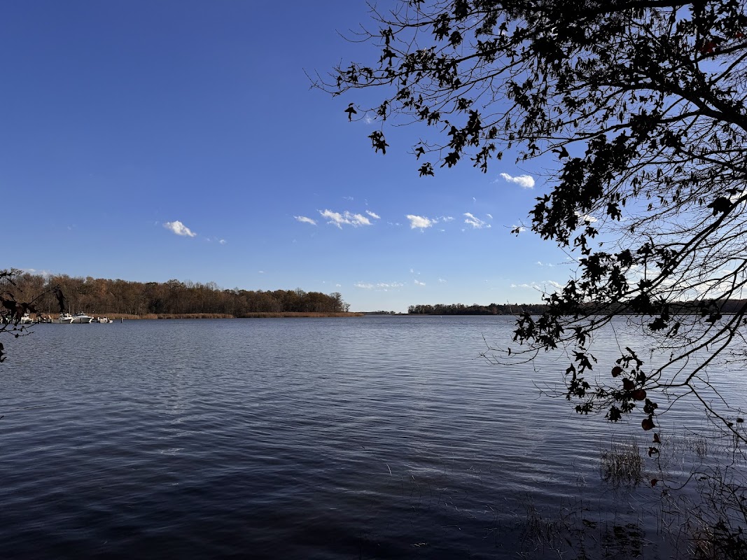 Dundee Creek Marina