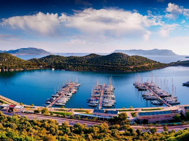 Çayağzı