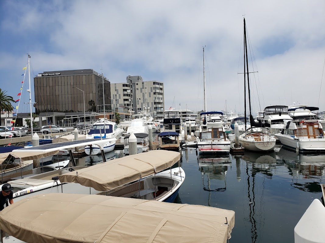 Newport Marina