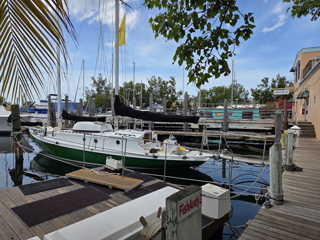 Safe Harbour