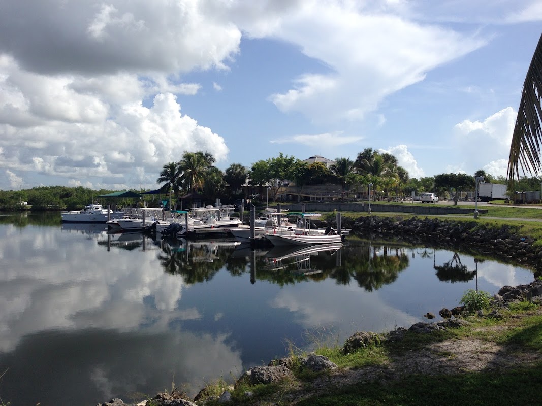 Blacktail Marina