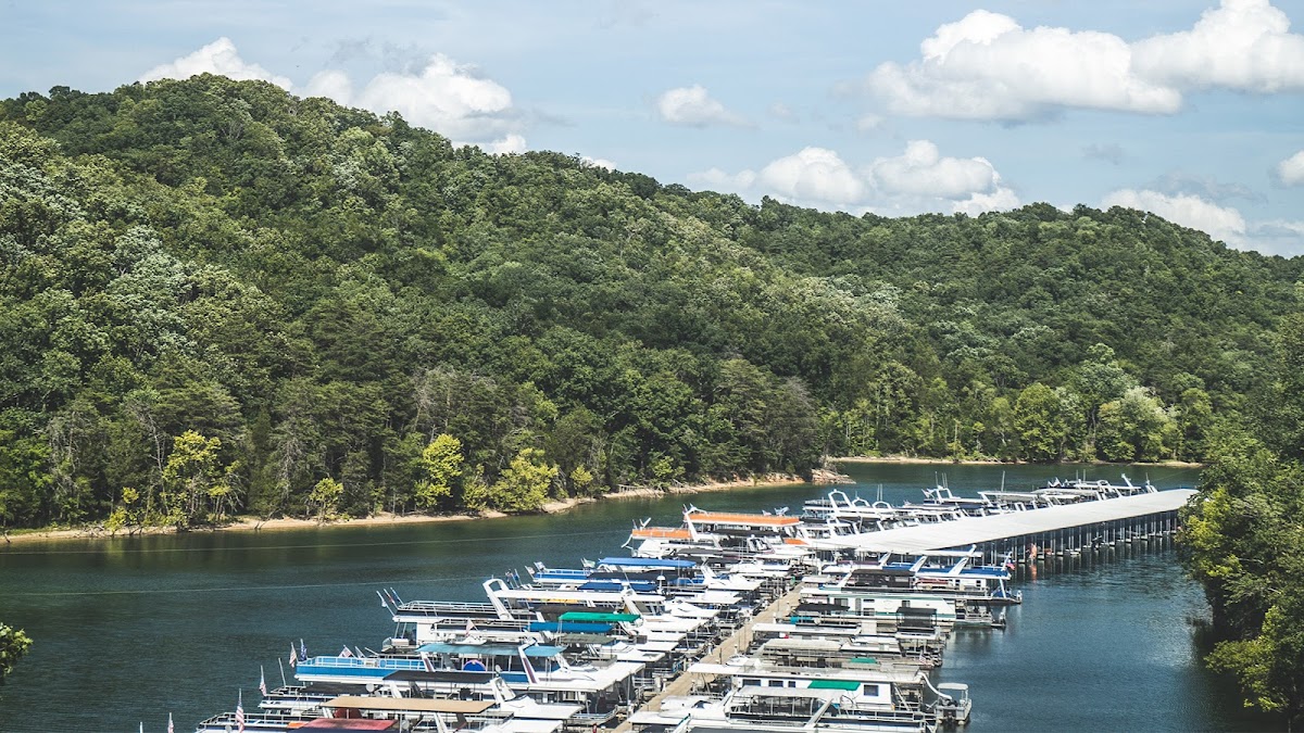 Holly Creek Marina