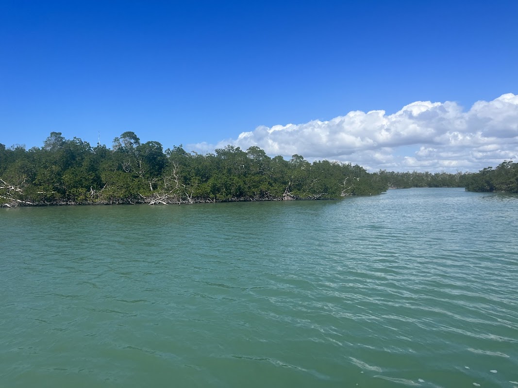 Dolphin Cove Marina