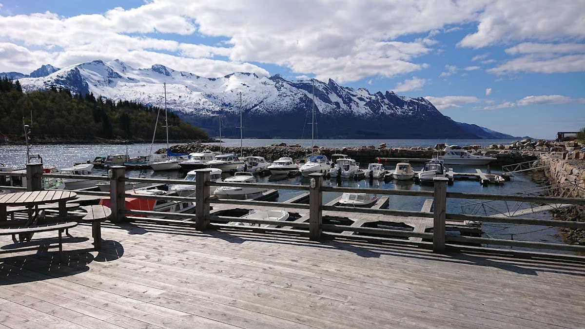 Neverdal småbåthavn