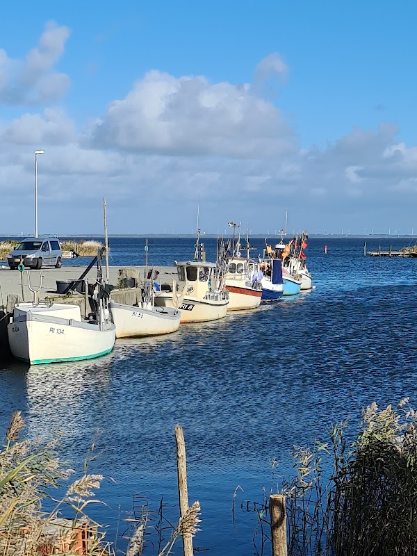 Hvide Sande Marina Denmark