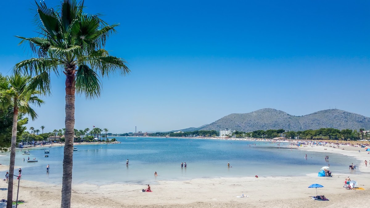 Port d'Alcúdia Mallorca