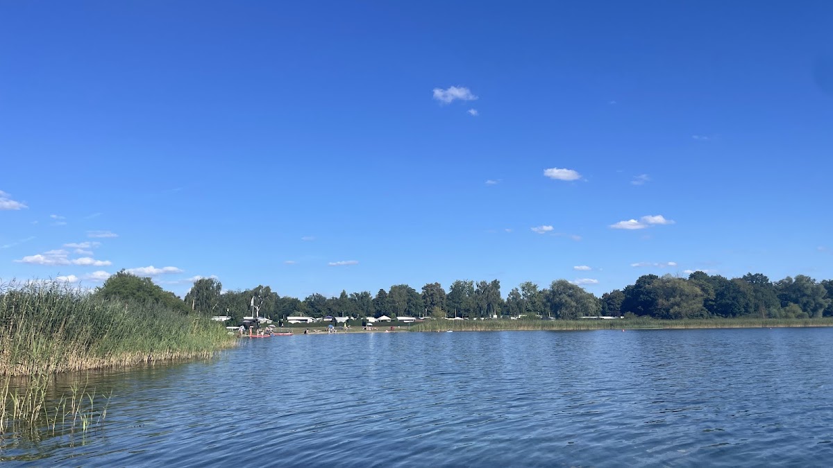 Magdeburger Seglerverein MSV