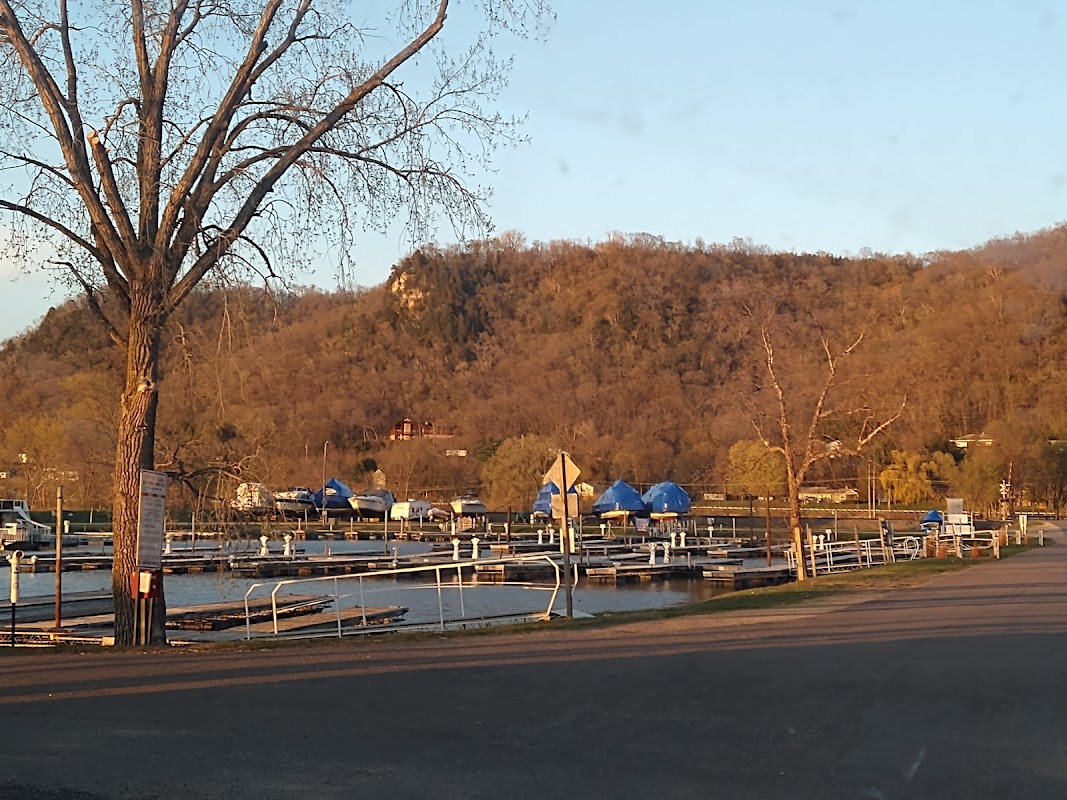 Alma Marina