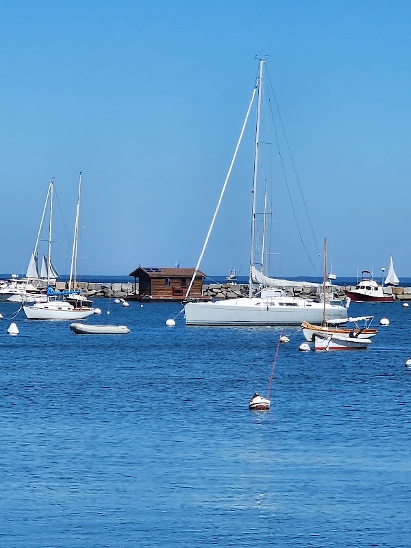 Martha's Vineyard Steamship Wharf Marina